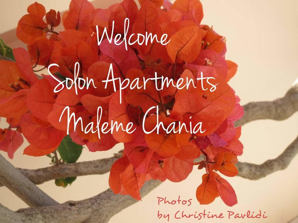 Solon Apartments 马莱迈 外观 照片